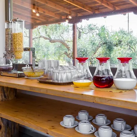 Filippos 호텔 Skala Rachoni (Thasos)